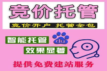 深度解析百度广告竞价：成功案例分享